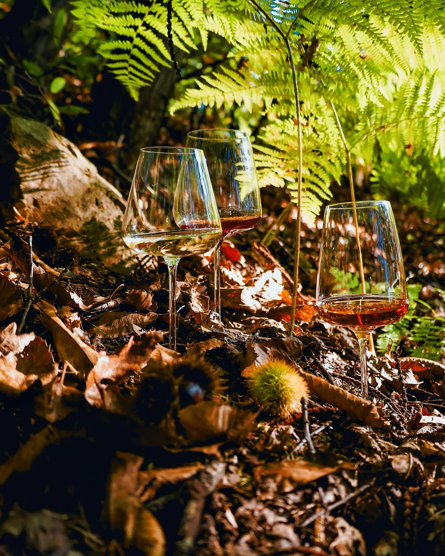 Hvitvinsglass Etoile 790 ml – 6 stk. 70003 by Etoile color Svart