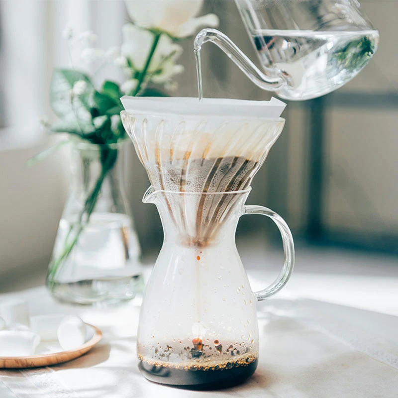 Varmebestandig kaffekaraffel – Hario HCD-2T by Hario color Svart