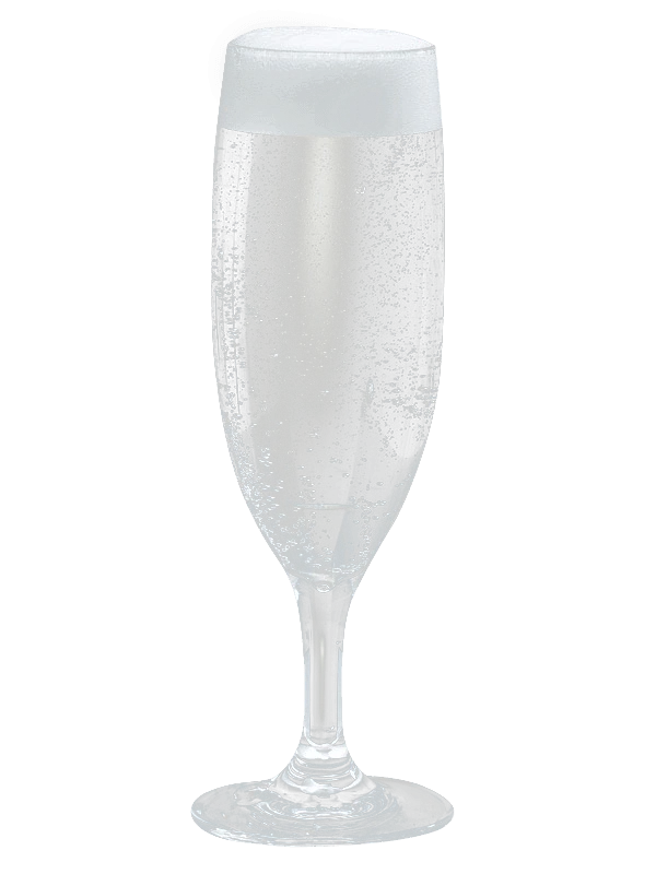 Champagneglass i polykarbonat 17 cl 300102 by GLASS4EVER color Helder