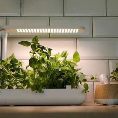 Livoo Indoor Garden 96-LH102  color Svart