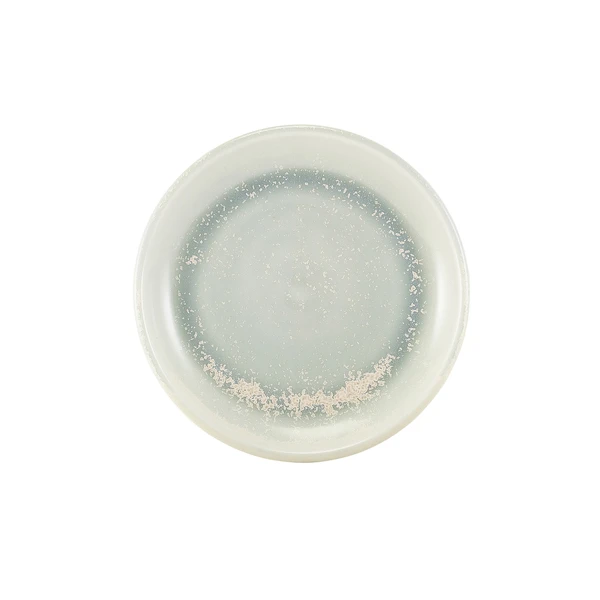 Terra Porcelain Pearl Coupé-tallerken 19 cm CP-PPL19 by Genware color Svart