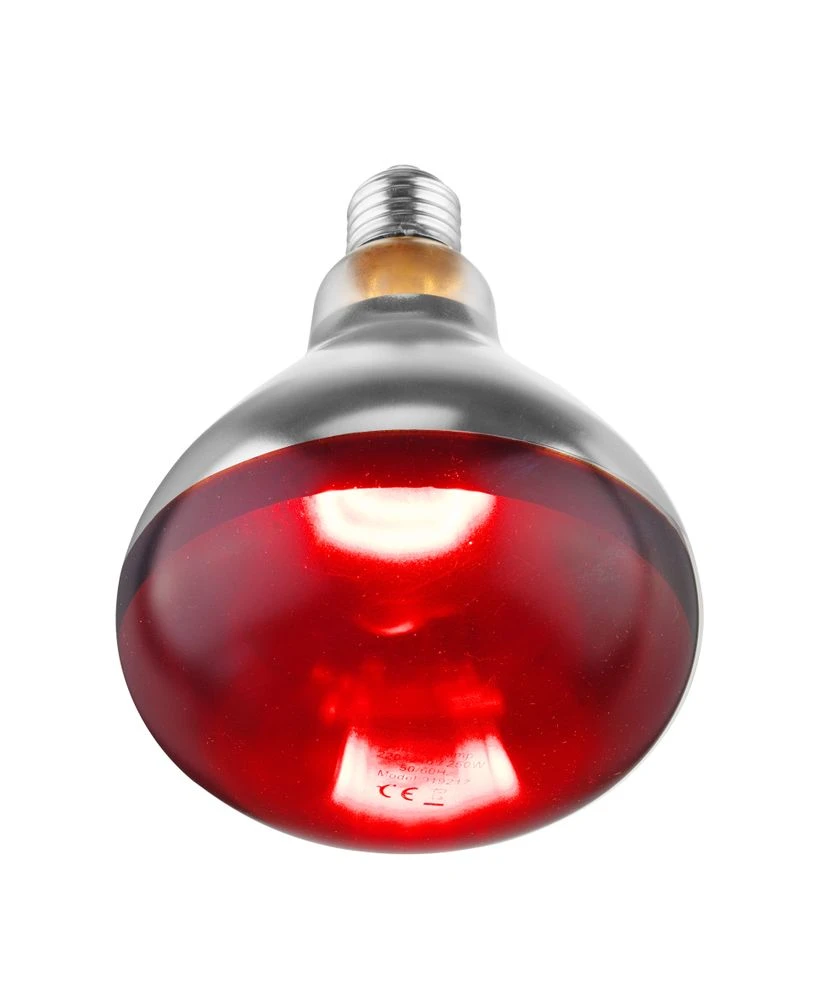 Hendi Infrarød Varmepære Rød 275W 919217 by Hendi color Svart