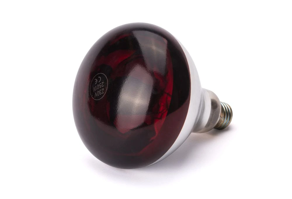 Hendi Infrarød Varmepære Rød 275W 919217 by Hendi color Svart
