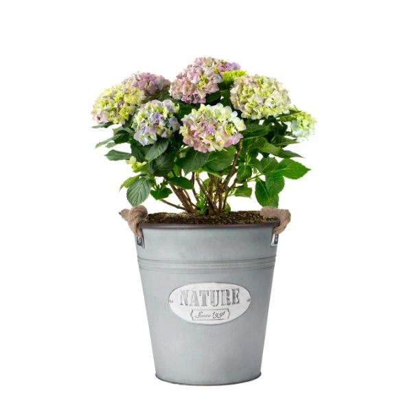Plantepotte i sink Ø 26 x 26 cm 9014541 by HAAHR & CO color Svart