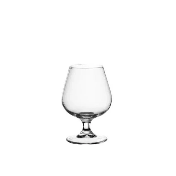 Cognacglass Globo 24,5 cl 96119501 by BORMIOLI color Svart