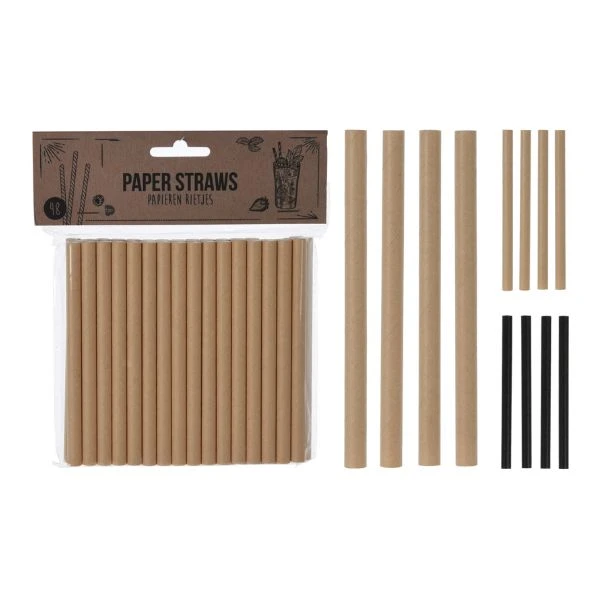 Sugerør i papir 48 stk assortert RT1300080 by Koop color Svart