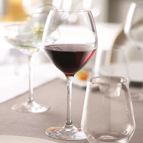 Vinglass Vins Jeunes Carbenet 58 cl - Chef / Sommelier 94242001 by Chef & Som color Svart