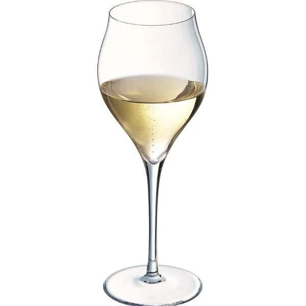 Champagneglass, 30 cl, H21,1 cm Chef&Sommelier 20162230 by Chef & Som color Helder