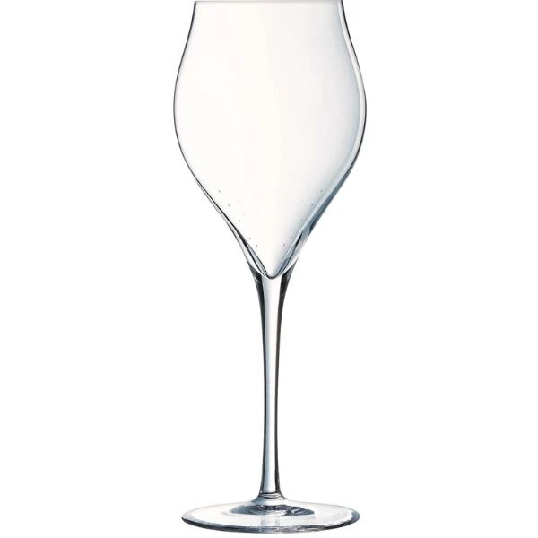 Champagneglass, 30 cl, H21,1 cm Chef&Sommelier 20162230 by Chef & Som color Helder