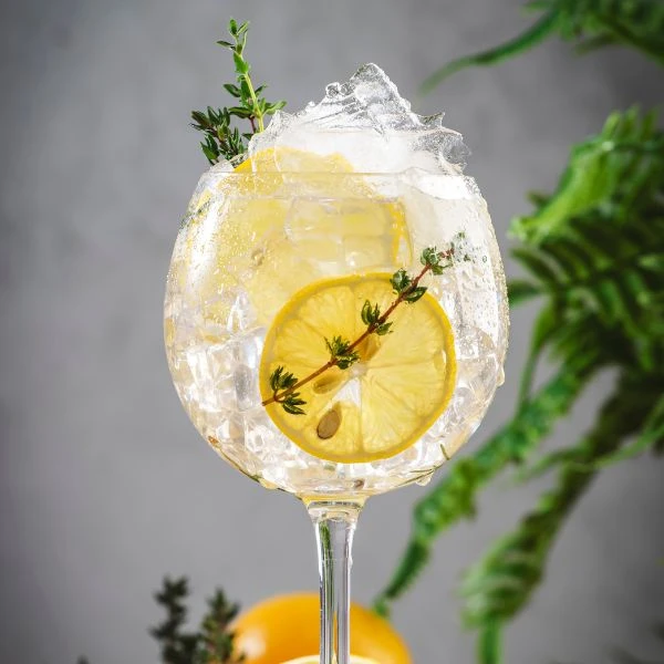7 FAKTA DU SIKKERT IKKE VISTE OM TONIC VANN
