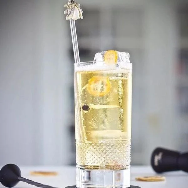 Drinkoppskrift på Apple G&T