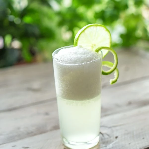 Oppskrift på Gin Fizz-cocktail
