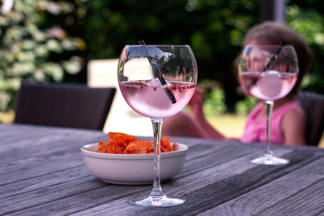 Gin for enhver smak - gin til perfeksjon